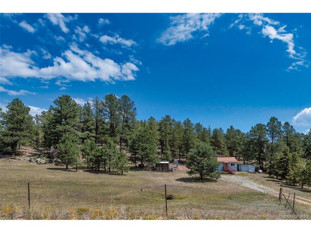 272 Spring Valley Trl, Florissant, CO 80816