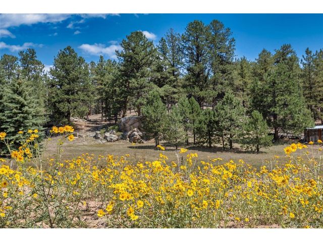 272 Spring Valley Trl, Florissant, CO 80816