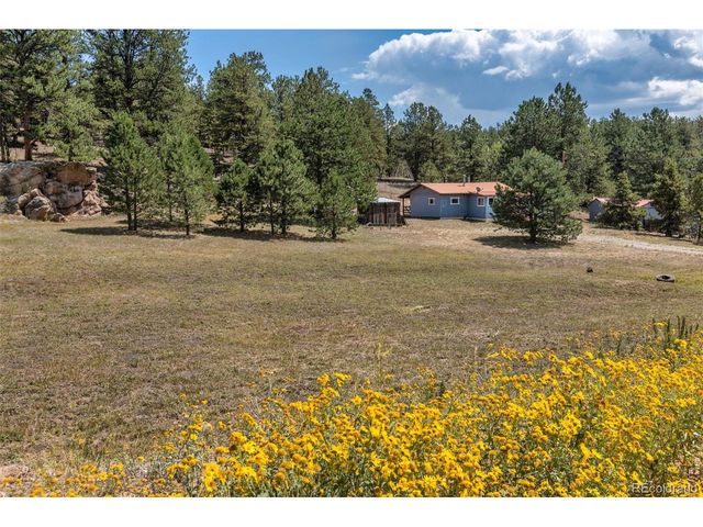 272 Spring Valley Trl, Florissant, CO 80816