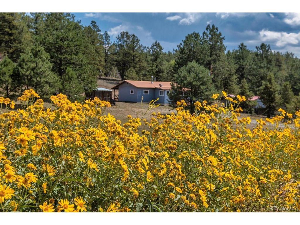 272 Spring Valley Trl, Florissant, CO 80816