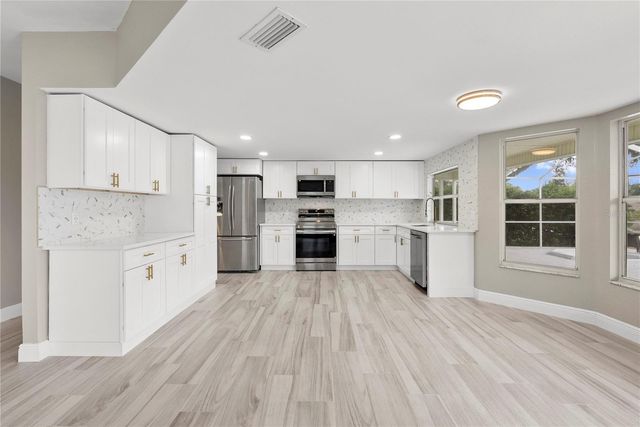 17919 CLEAR LAKE DRIVE, Lutz, FL 33548
