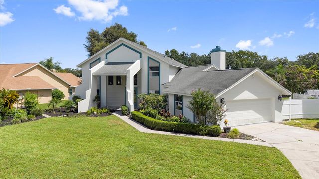 17919 CLEAR LAKE DRIVE, Lutz, FL 33548