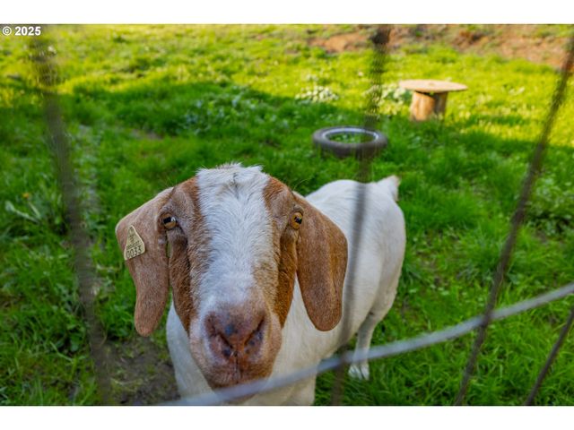 15779 HIGHWAY 42, Myrtle Point, OR 97458