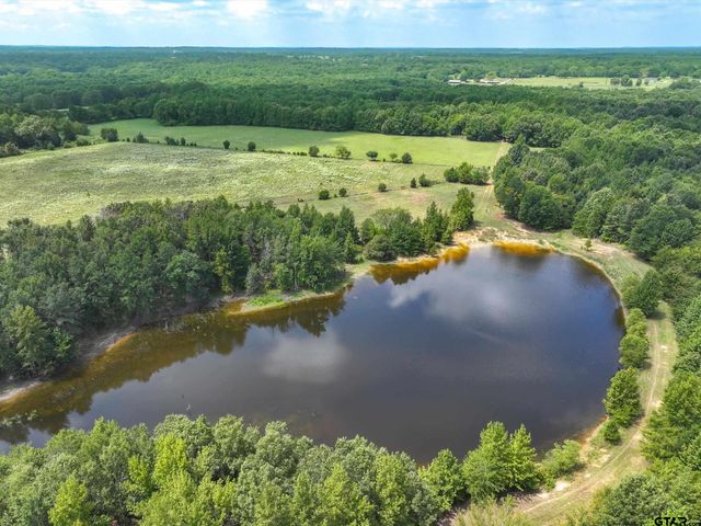 5282 N SH 37, Winnsboro, TX 75494