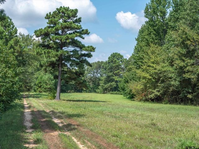 5282 N SH 37, Winnsboro, TX 75494
