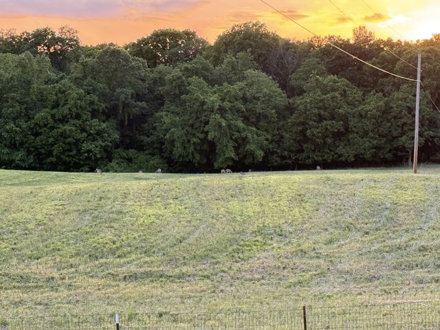 6026 Buzzard Creek Rd, Cedar Hill, TN 37032