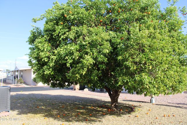 11596 W SIERRA DAWN Boulevard 286, Surprise, AZ 85378