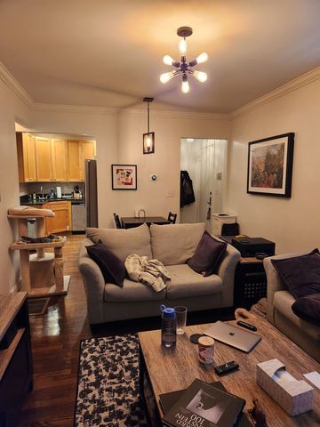1155 W Grace Street 1S, Chicago, IL 60613
