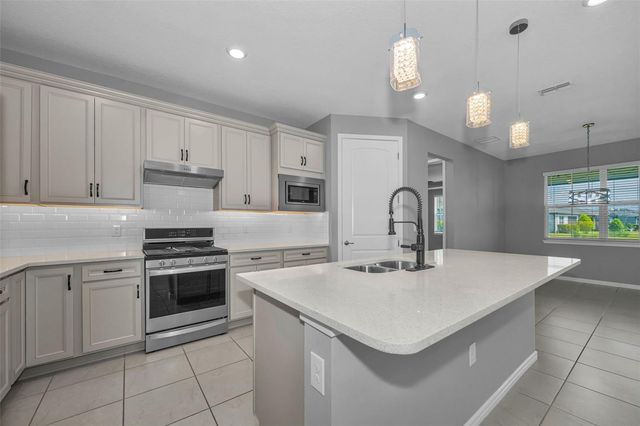 19865 SEA GLASS CIRCLE, Land O Lakes, FL 34638