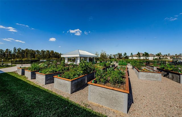 19865 SEA GLASS CIRCLE, Land O Lakes, FL 34638