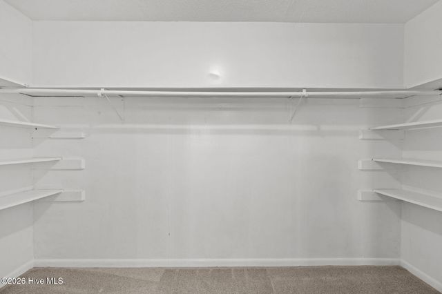 113 Mexico Road, Edenton, NC 27932