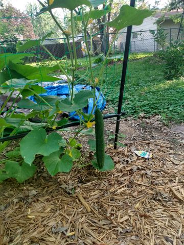 2207 35th Street, Des Moines, IA 50310