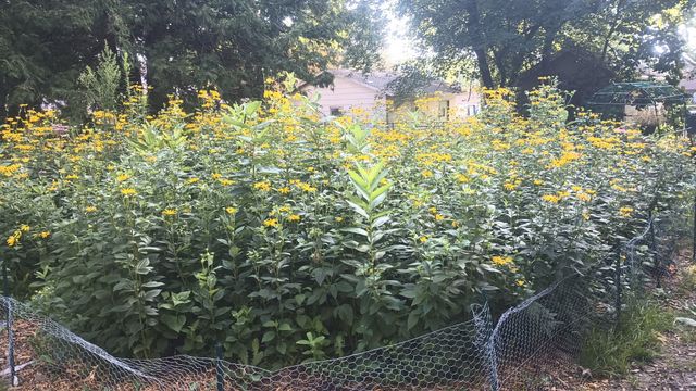 2207 35th Street, Des Moines, IA 50310