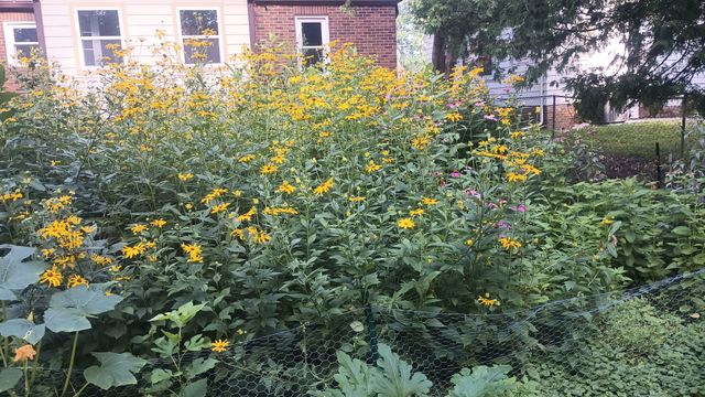 2207 35th Street, Des Moines, IA 50310