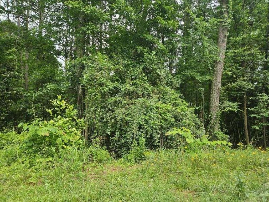 2435 Hi Roc Circle, Conyers, GA 30012