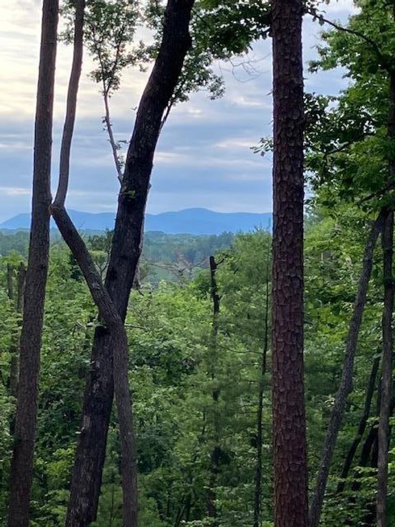 Lt 132 Red Oak Trail, Ellijay, GA 30540