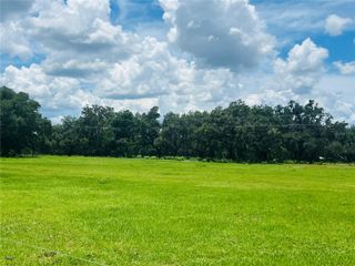 0 546A, Bushnell, FL 33513
