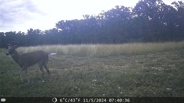 1309 County Road 1895, Sunset, TX 76270
