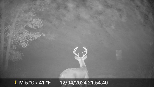 1309 County Road 1895, Sunset, TX 76270