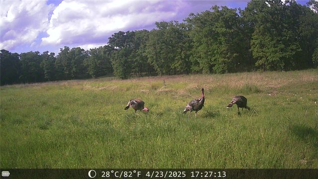 1309 County Road 1895, Sunset, TX 76270