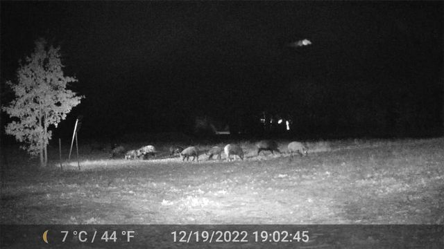 1309 County Road 1895, Sunset, TX 76270