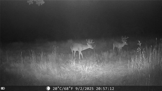 1309 County Road 1895, Sunset, TX 76270