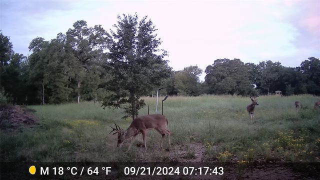1309 County Road 1895, Sunset, TX 76270