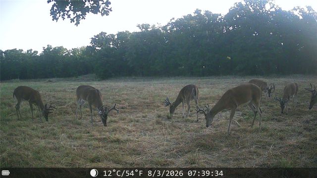 1309 County Road 1895, Sunset, TX 76270
