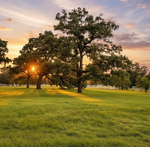 15203 Wildwood Circle, Magnolia, TX 77354