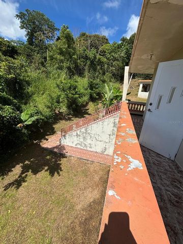 CARR 788 KM 6.7 TOMAS DE CASTRO I, Caguas, PR 00725