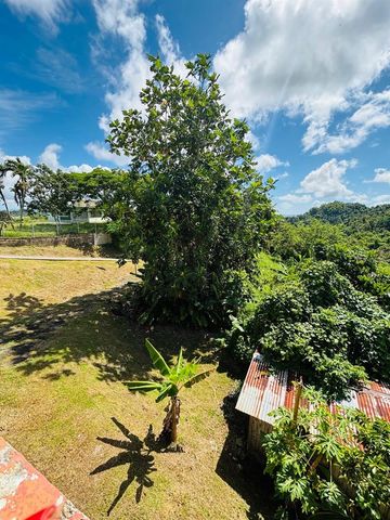 CARR 788 KM 6.7 TOMAS DE CASTRO I, Caguas, PR 00725