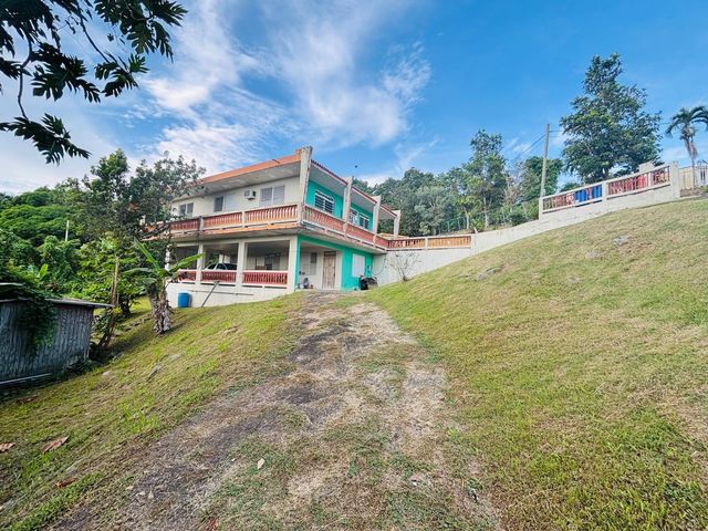 CARR 788 KM 6.7 TOMAS DE CASTRO I, Caguas, PR 00725