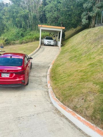 CARR 788 KM 6.7 TOMAS DE CASTRO I, Caguas, PR 00725