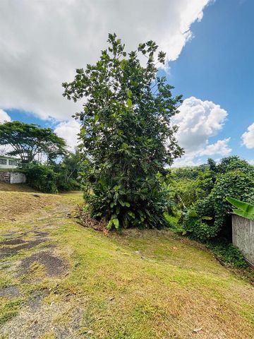 CARR 788 KM 6.7 TOMAS DE CASTRO I, Caguas, PR 00725