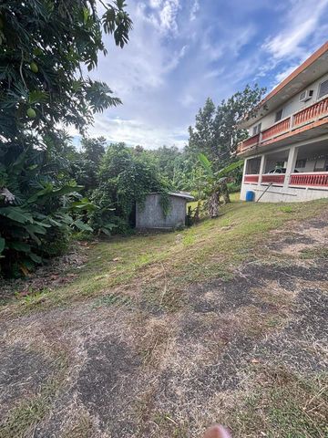 CARR 788 KM 6.7 TOMAS DE CASTRO I, Caguas, PR 00725