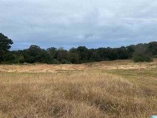 450 COUNTY ROAD 729, Cullman, AL 35055