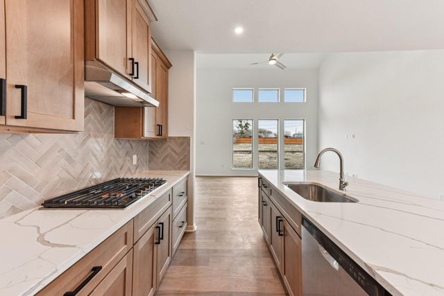 319 Dogvane CIR, Kyle, TX 78640