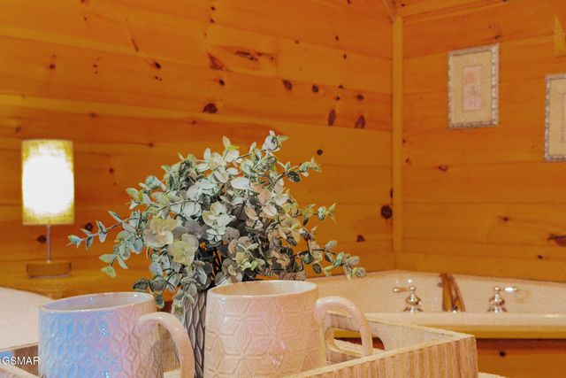 4503 Rocky Bluff Way, Pigeon Forge, TN 37863