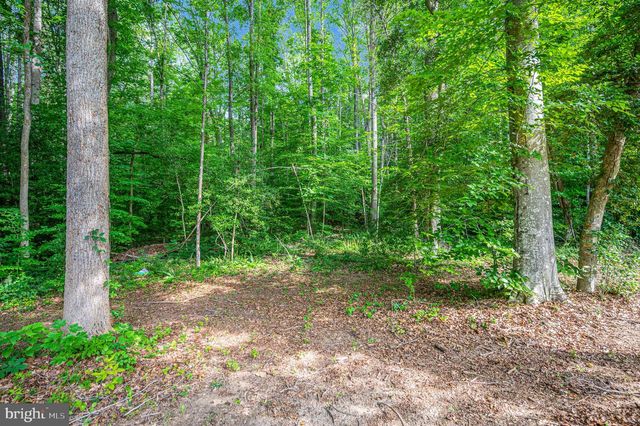 7324 RED FEATHER LN, Spotsylvania, VA 22551