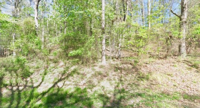 Lot 335-336 Woodlawn Drive, Fairfield Bay, AR 72088