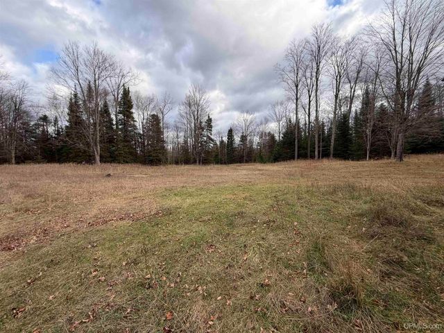 N5805 Beauchamp Road, Hardwood, MI 49807