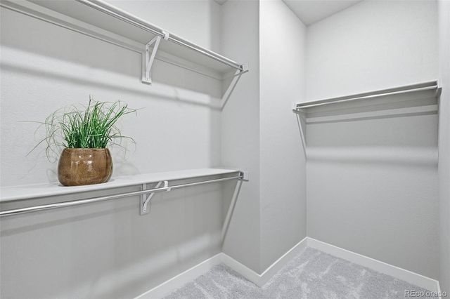 6185 Armdale Heights, Colorado Springs, CO 80927