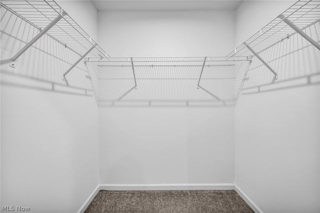 716 Pine Spring Drive, Painesville Twp, OH 44077