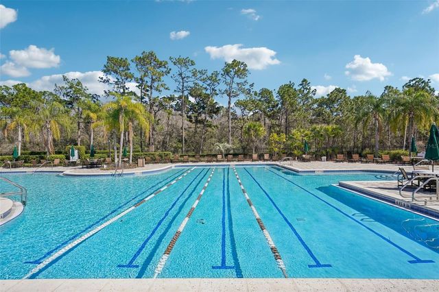 9609 ROYAL FERN COURT, Tampa, FL 33647