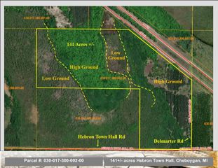 Hebron Town Hall Road, 141 Acs +/-, Cheboygan, MI 49721