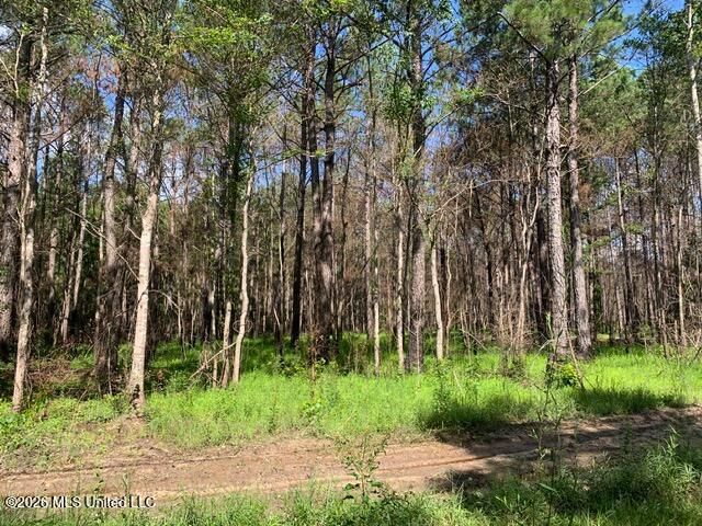 Lower Bay Road, Bay Saint Louis, MS 39520