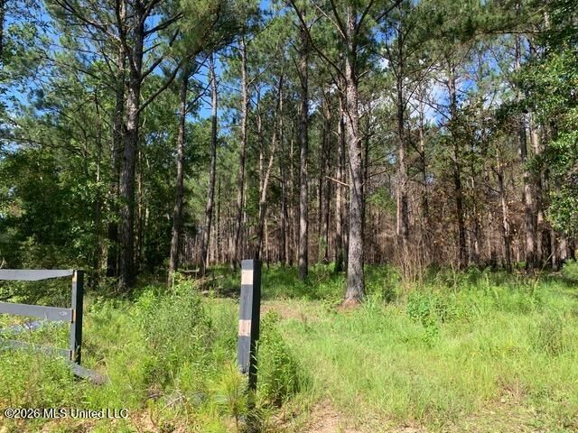 Lower Bay Road, Bay Saint Louis, MS 39520