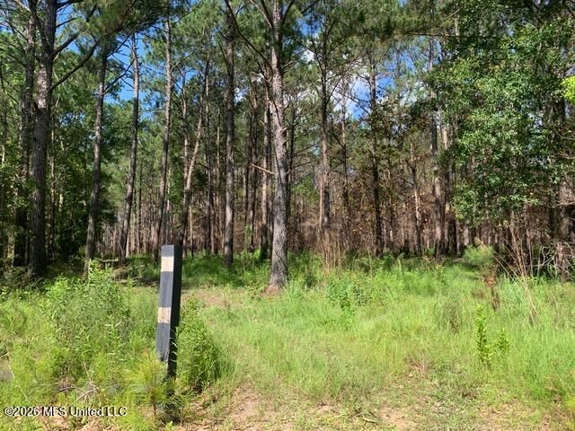 Lower Bay Road, Bay Saint Louis, MS 39520