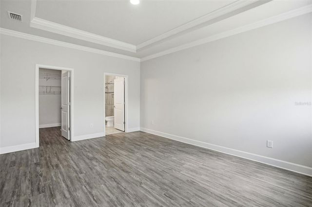 10335 HERON HIDEAWAY LOOP, Land O Lakes, FL 34638