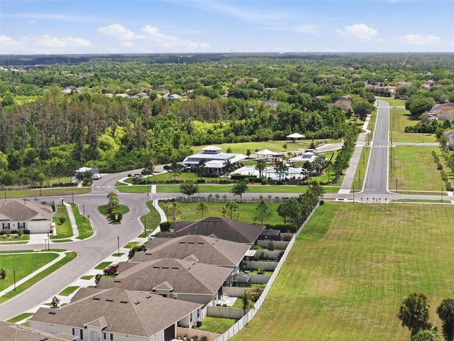 10335 HERON HIDEAWAY LOOP, Land O Lakes, FL 34638